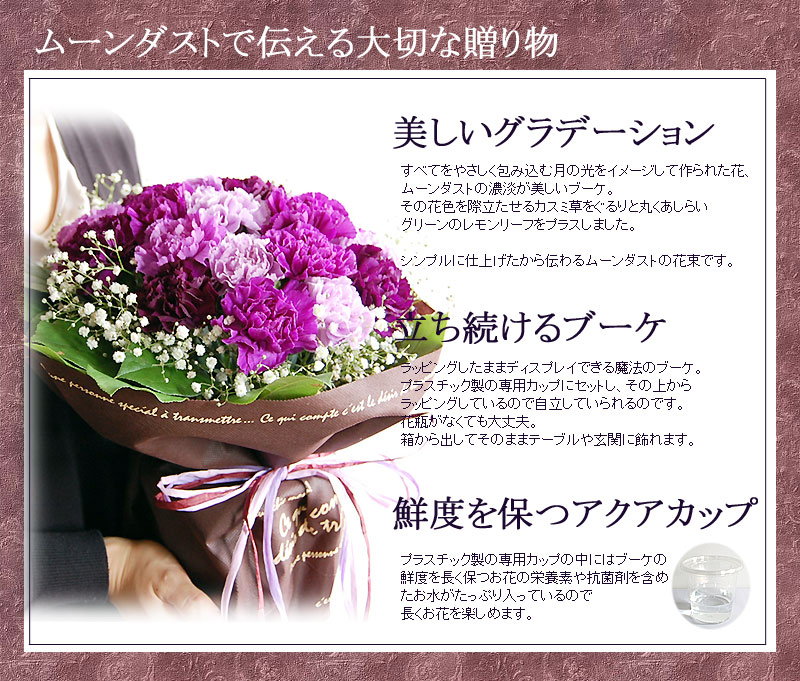 誕生日プレゼント ムーンダストの花束Lサイズ（36本） 花 プレゼント サントリーフラワーズ 紫のカーネーション 古希祝い