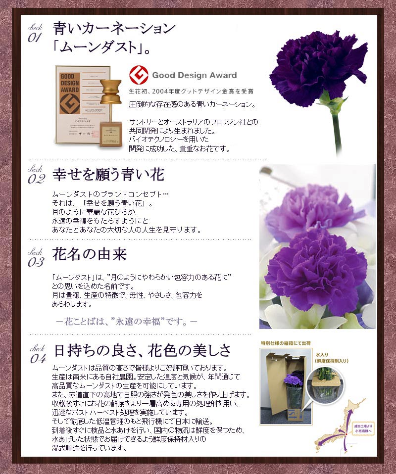 ムーンダストの花束Sサイズ（12本）古希 喜寿のお祝い 誕生日 花 ギフト 花 プレゼント サントリーフラワーズ 紫のカーネーション