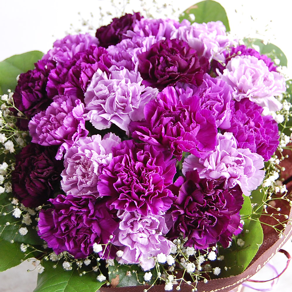 ムーンダストの花束Mサイズ（24本）母の日プレゼント 古希 喜寿 長寿のお祝い 誕生日 花 ギフト 花 プレゼント サントリーフラワーズ 紫のカーネーション