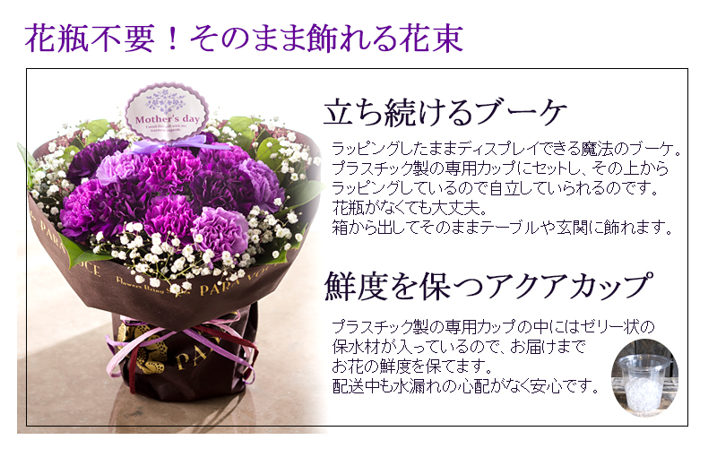 ムーンダストの花束Mサイズ（24本）母の日プレゼント 古希 喜寿 長寿のお祝い 誕生日 花 ギフト 花 プレゼント サントリーフラワーズ 紫のカーネーション