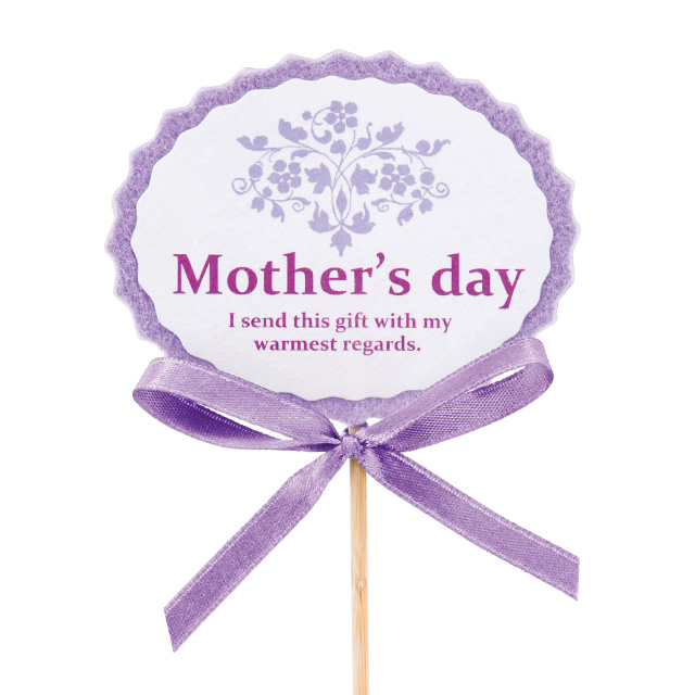 ムーンダストの花束Sサイズ(12本)母の日ギフト 古希 喜寿のお祝い 誕生日 花 ギフト 花 プレゼント サントリーフラワーズ 紫のカーネーション