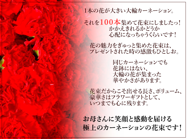 母の日ギフト 赤いカーネーションの花束100本 2024年 母の日プレゼント 花 プレゼント 母の日限定