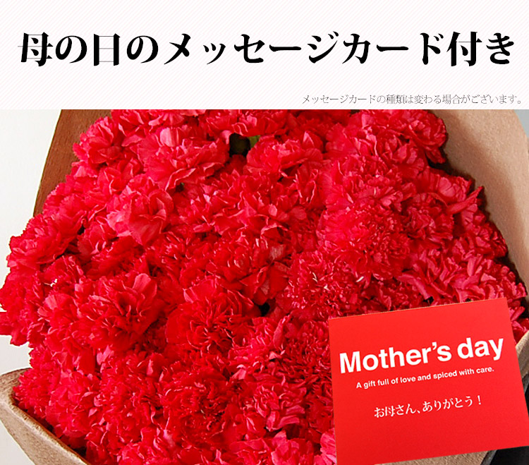 母の日ギフト 赤いカーネーションの花束100本 2024年 母の日プレゼント 花 プレゼント 母の日限定