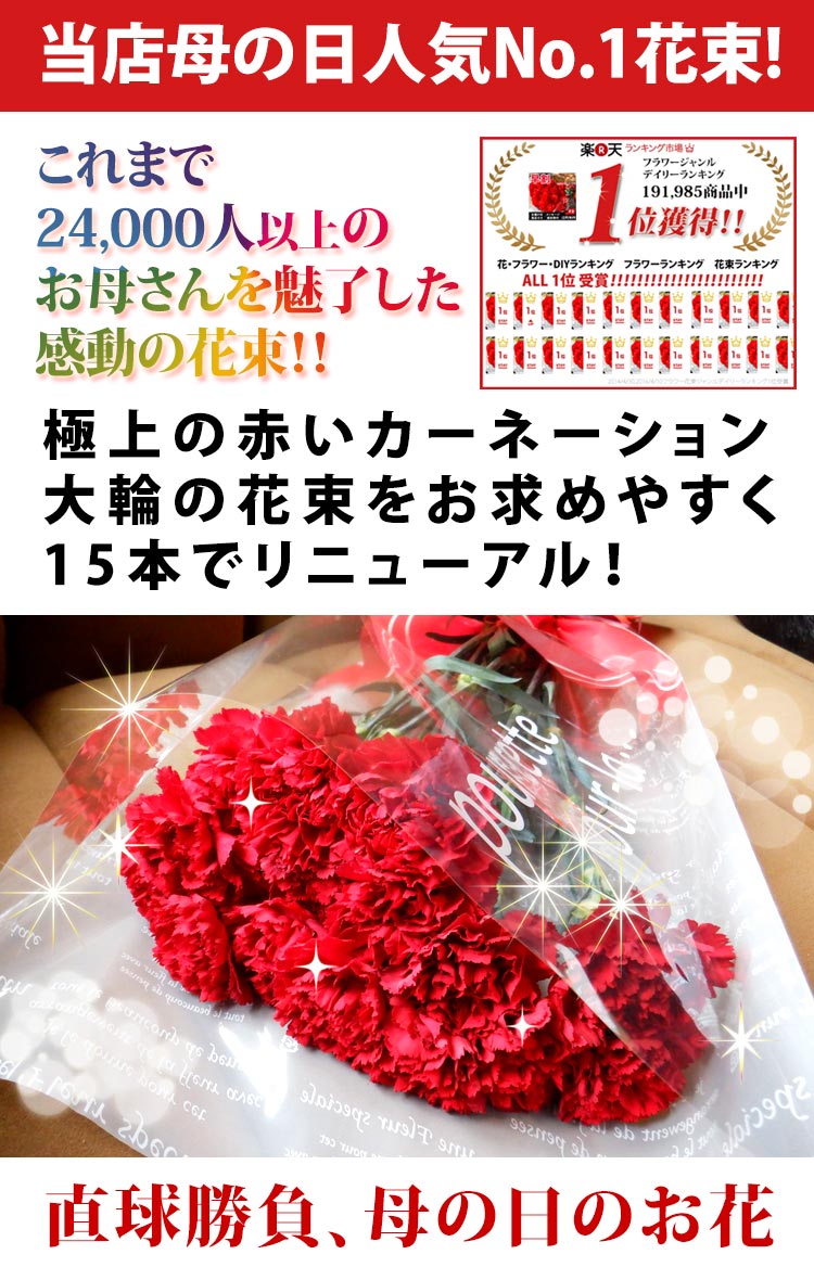 母の日ギフト 赤いカーネーション15本の花束 2024年 母の日プレゼント 花 プレゼント 大輪の花束