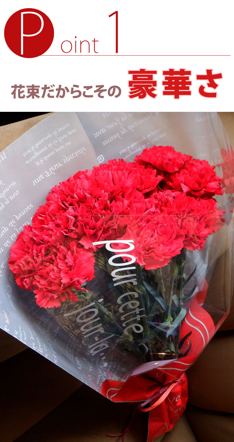 母の日ギフト 赤いカーネーション15本の花束 2024年 母の日プレゼント 花 プレゼント 大輪の花束