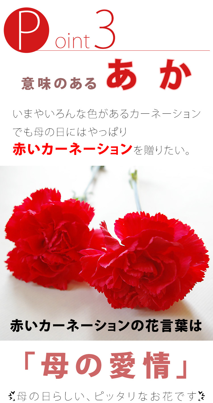 母の日ギフト 赤いカーネーション30本の花束 2024年 母の日プレゼント 花 プレゼント 大輪の花束