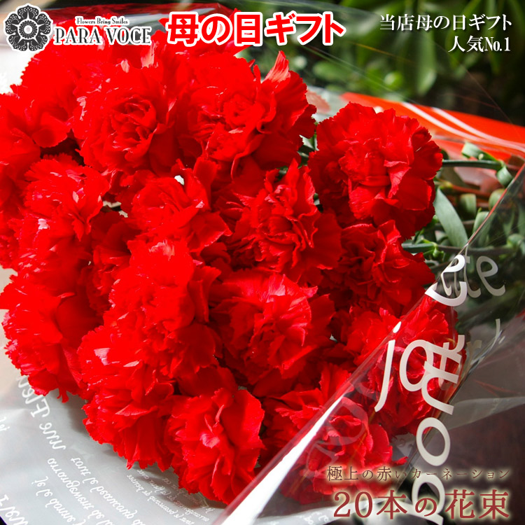 母の日ギフト 赤いカーネーション20本の花束 2023年 母の日プレゼント 花 プレゼント 大輪の花束