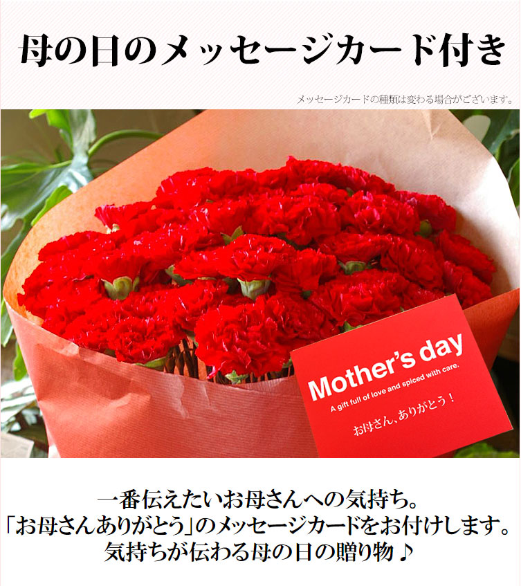 母の日ギフト 赤いカーネーションの花束50本 2024年 母の日プレゼント 花 ギフト 花束 母の日お届け