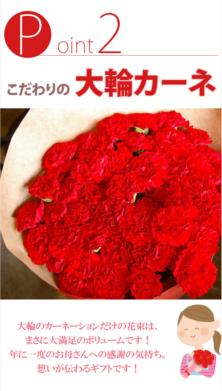 母の日ギフト 赤いカーネーションの花束50本 2024年 母の日プレゼント 花 ギフト 花束 母の日お届け