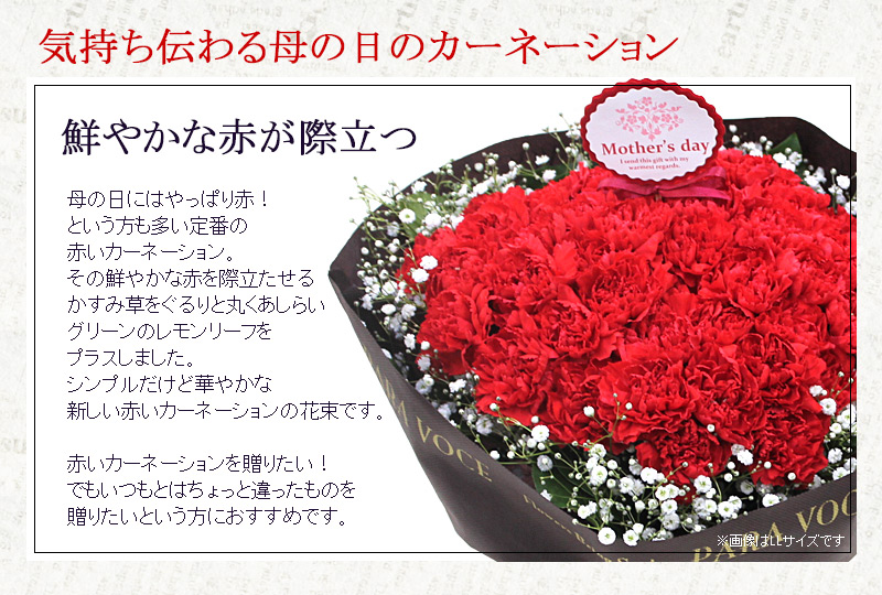 赤いカーネーションのスタンディングブーケ Sサイズ (12本) 2023母の日ギフト 花 母の日プレゼント そのまま飾れるブーケ