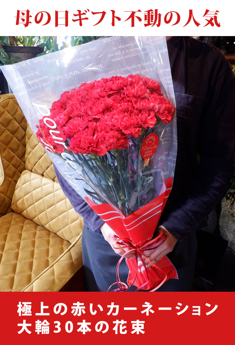母の日ギフト 赤いカーネーション30本の花束 2024年 母の日プレゼント 花 プレゼント 大輪の花束