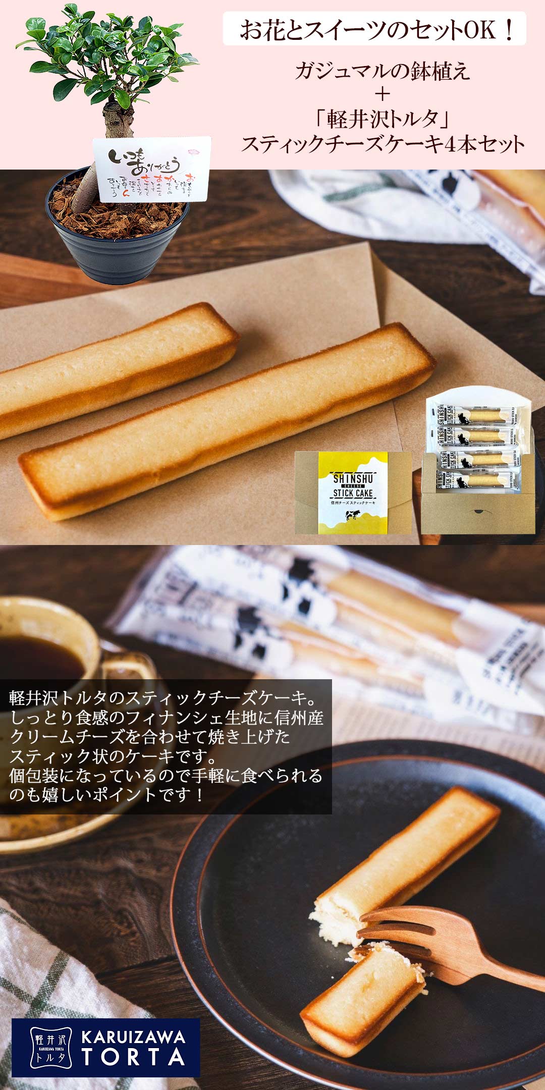 ガジュマル  観葉植物 母の日 ギフト ガジュマル 7号鉢  多幸の樹 花 ギフト プレゼント 誕生日 新築祝い 開業祝い などに 母の日ギフトはスイーツセットも選べる！